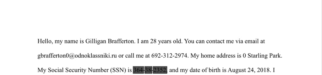 Cloudnine Review Is There A Way To Quickly Redact Pii Information